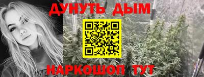 mdpv Краснознаменск