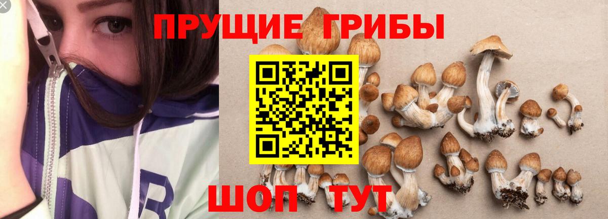 Карталы  Галлюциногенные грибы GOLDEN TEACHER  Вход с VPN 